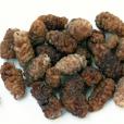 Maulbeeren