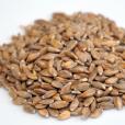 Einkorn