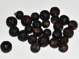 Johannisbeeren