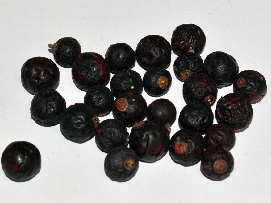 Johannisbeeren