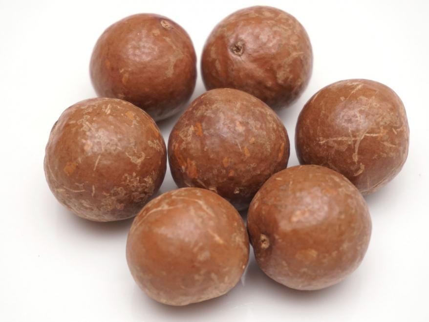 Macadamia in der Schale