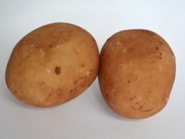 Marzipankartoffeln