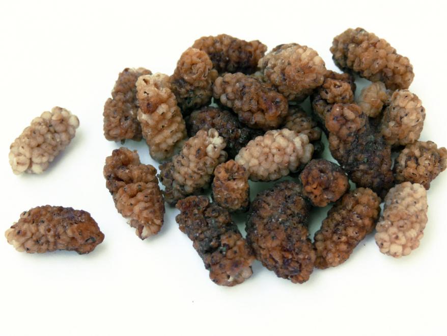Maulbeeren