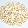 Quinoa